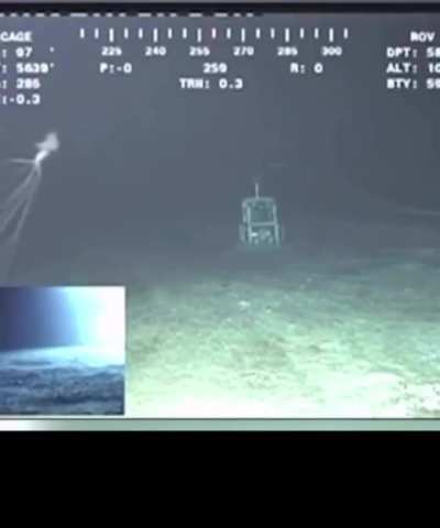 Loser city sea monster