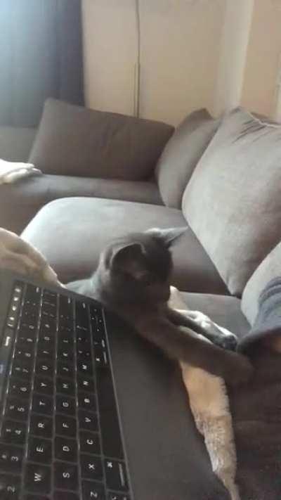 Work? Not on my watch.