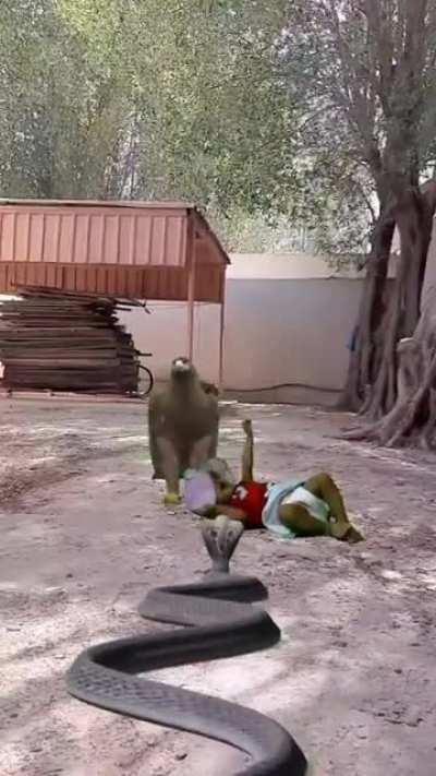 Someone Start a GoFundMe for this Aspiring Director