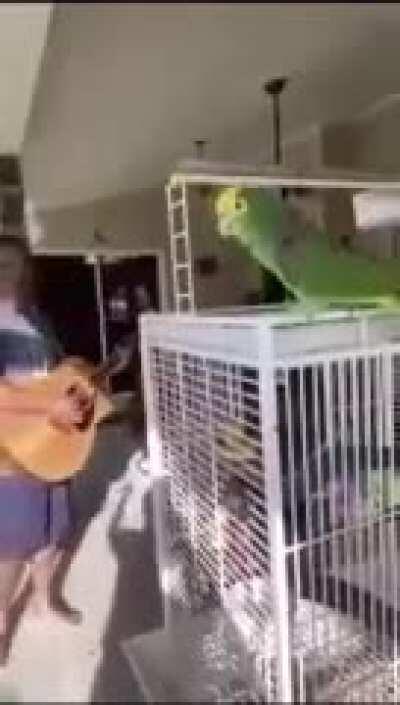 These guys are back!