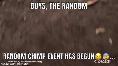 Monke please protect us...