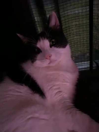 Awoken from a deep slumber