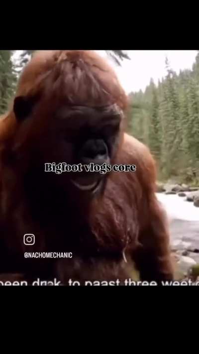 Bigfoot