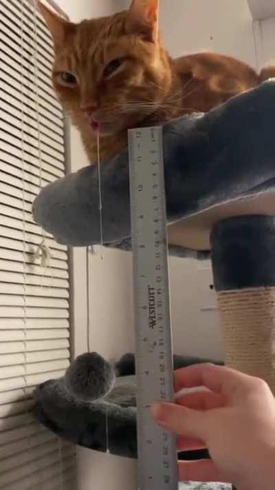 We got a coolant leak!