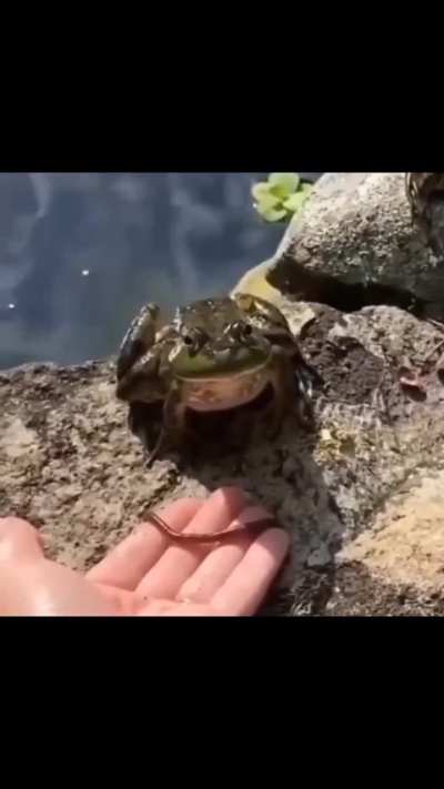 He calculated and executed the most chaotic outcome