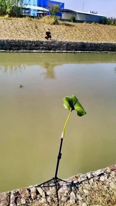 Ninja-level Card Throwing Skill