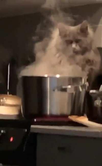 That’s a Disney movie villain if I’ve ever seen one