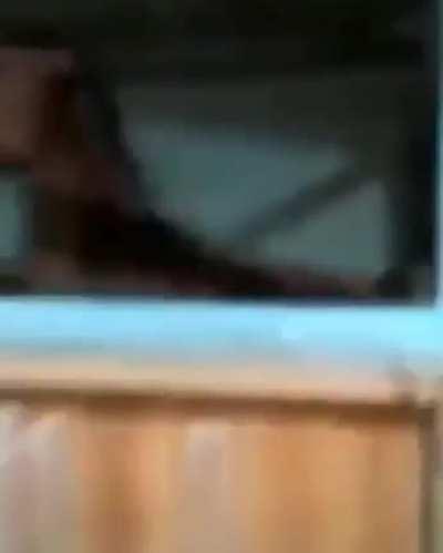 not a big fan of cats? *the cat is fine*