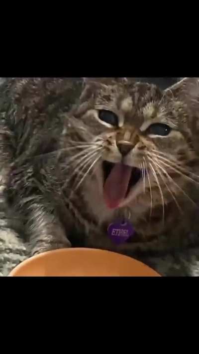 Where should I post this car edit