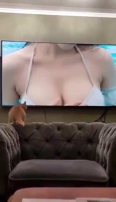 Knows what it wants 🤣