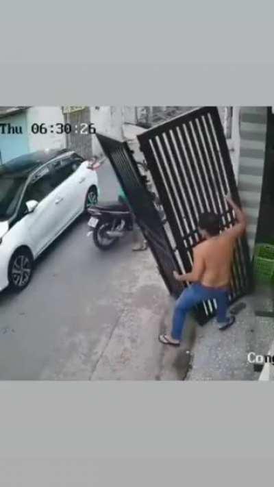 wholesomeness uplifts