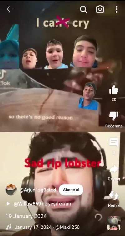 youtube shorts COBster: youtube shorts COBster: lobster