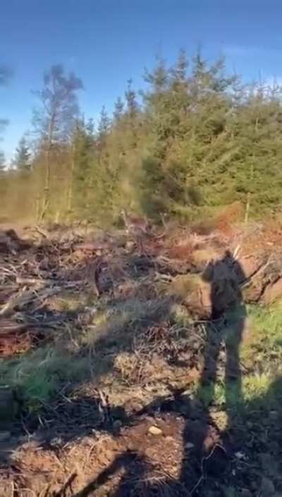 Hunter not sure what to do now