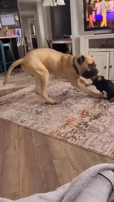 When size doesn't matter.