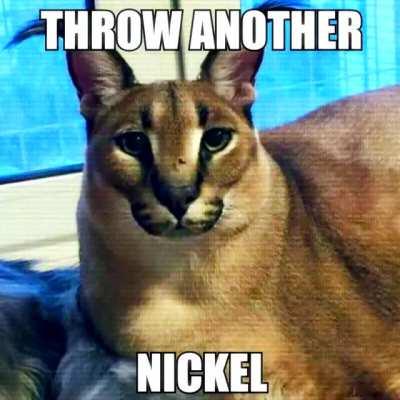 floppa spitting bars part 2