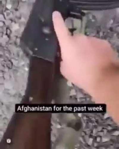 Your tax dollars at work