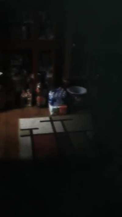 DPH Trip Replication