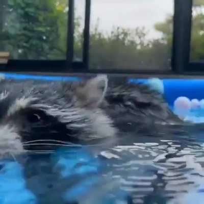 Obviously this belongs here.