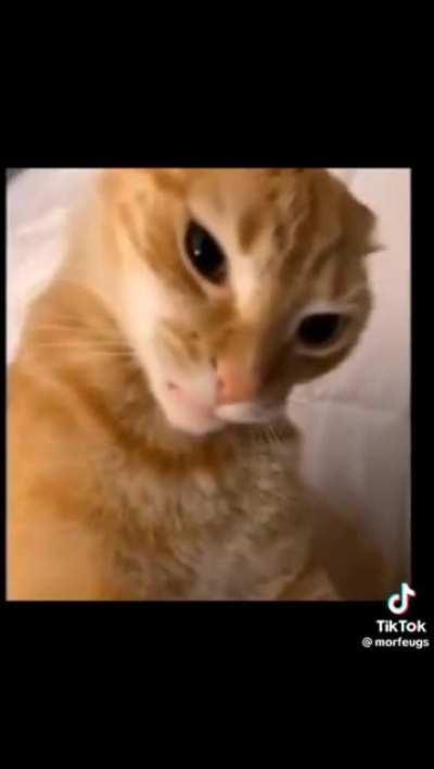 I stole this for your viewing pleasure