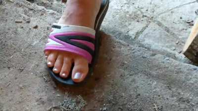 Yellow jacket nest twisted into nothing under flipflops