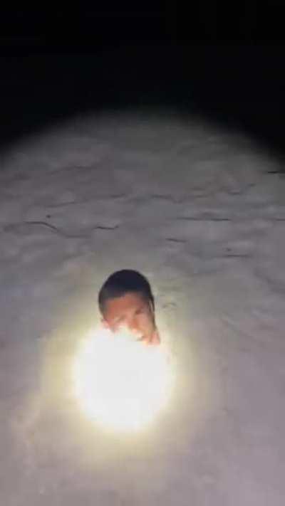 Thanks I hate human diglets