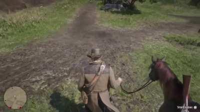 [Red Dead Redemption 2] Come along where …?
