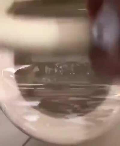 This be a bruh moment