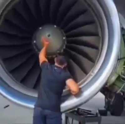 stay absolutely calm