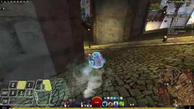 What it's like being an Aussie beetle racer