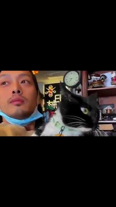 Toxic relationship..but why is it cuteeee 😍