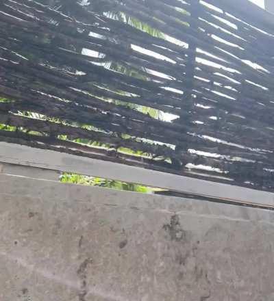 Hubby loves when I go swimming. I wonder why