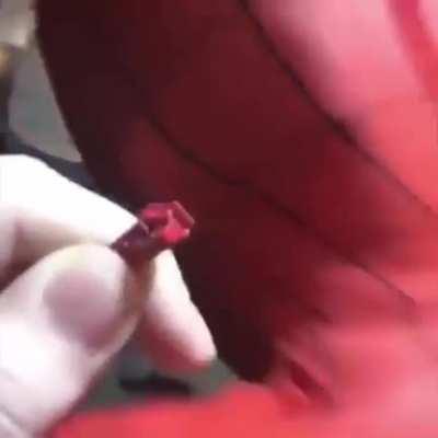 Looks like Spiderman was in trouble