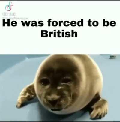 These damn bri’ish