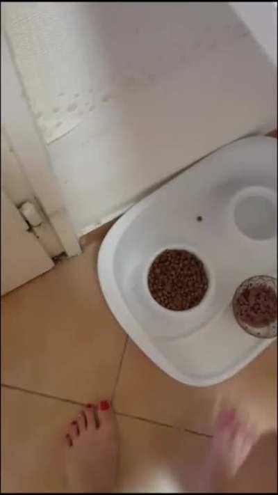 Did you just touch my water?