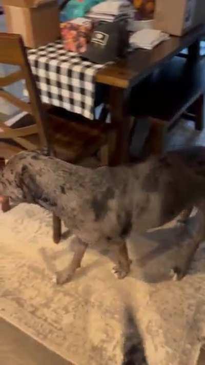 That hip sway gets all the ladies...