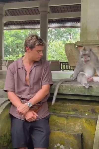 Don’t play with monkeys!!