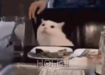 push it. we got more gas in the tank.