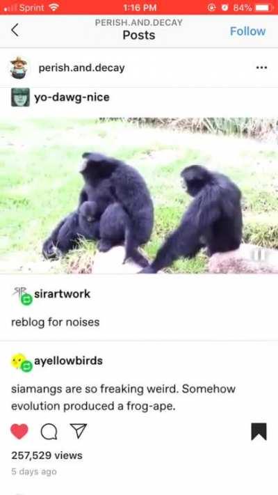 Wooooo......oaaa!—