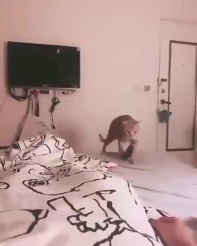 ʰᵉʳᵉ ᵃ ᵍⁱᶠᵗ ˡᵘᵛ ʸᵃ ᵇʸᵉ