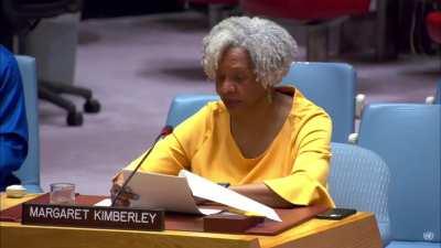 CIV POV: American journalist and member of the US anti-war coalition Margaret Kimberley stated at a UN meeting that the opportunity for peace in Ukraine was missed when the US and its allies disrupted negotiations in Istanbul. 
