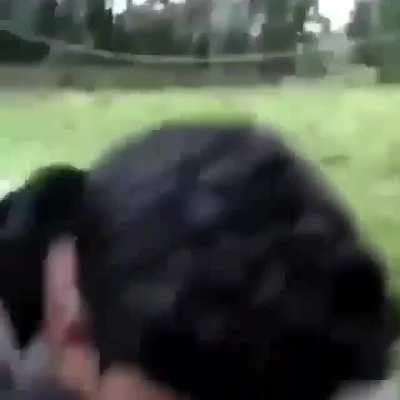 Reaction test failed