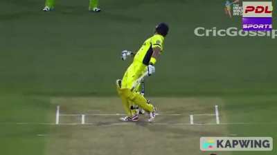 Wahab Riaz nasty ball to Shane Watson