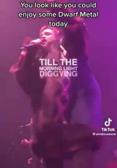 not sure if belongs here. But here's some dwarfs rocking out