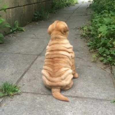 I’m trying to ignore mommy