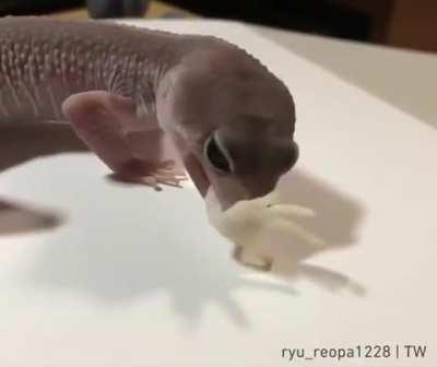 Taking off your socks at the end of a long day.