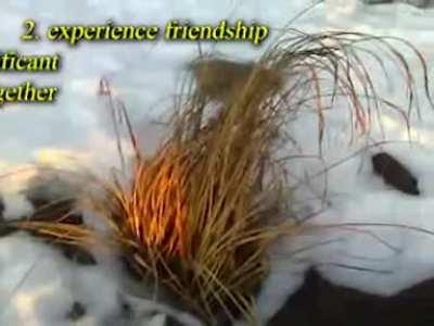 How To Experience Life