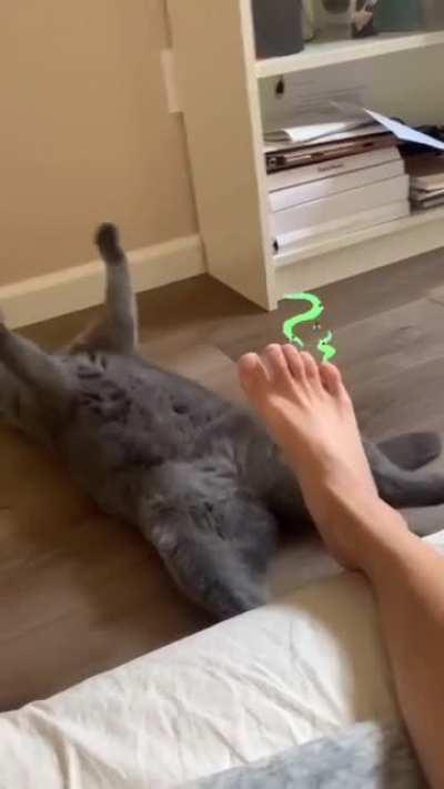 CaT KiLLeD My NoXiOus SubStAnCe