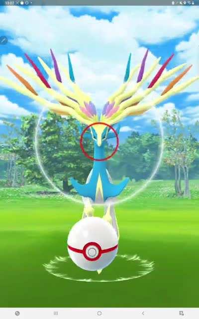 Shiny Xerneas can isn't a guaranteed catch??