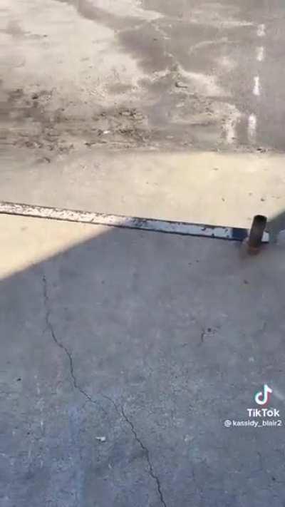 to let a mouse go safely