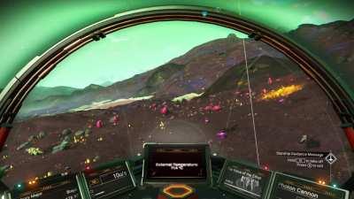 Either they just heard the ice cream man comin’… or I just witnessed the most adorable predator/prey interaction ever.